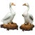 Chinese Porcelain Ducks on Stands - a Pair For Sale