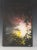 This stunning abstract painting titled "Explosion Painting #20" by Paul Olsen is a true masterpiece. The dynamic explosion...