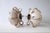 Not Yet Made - Made To Order Embryo Wall Lights in Glazed White Stoneware by Robin Kerr, Set of 2 For Sale - Image 5 of 7