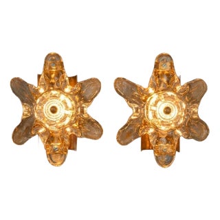 Mid-Century Flower Wall Sconces in Glass and Brass, 1960s, Set of 2 For Sale