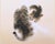 "Cat", Heisei Era Japanese Silk Painting For Sale - Image 4 of 15