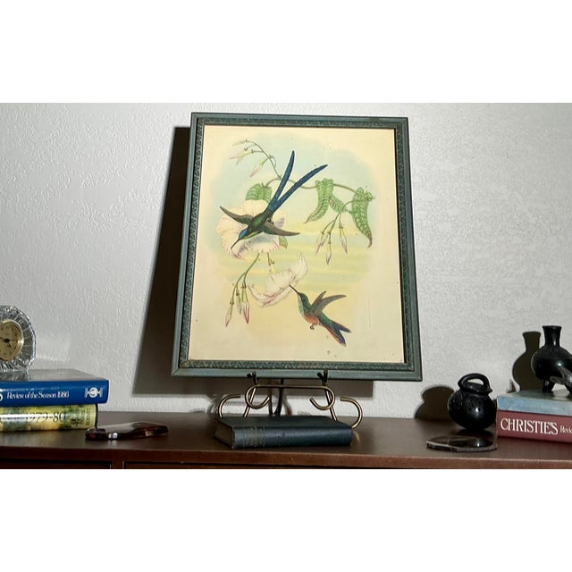 Illustration Framed Vintage Ibf Co. Hummingbird Lithograph, Hollywood Picture Frame Co., Mid-Century Botanical Fine Art For Sale - Image 3 of 11