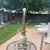 This lamp is a Stiffel "Ostrich Egg" table lamp, a highly collectible piece known for its Hollywood Regency style and...