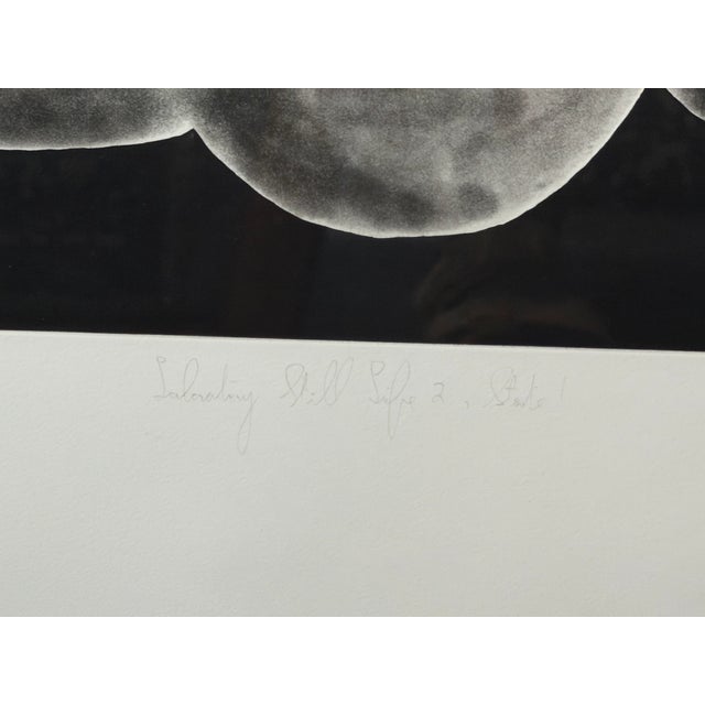 1980s Tony Cragg Drawing Laboratory Still Life No.2 State 1 1988 Edition 12/30 For Sale - Image 11 of 14