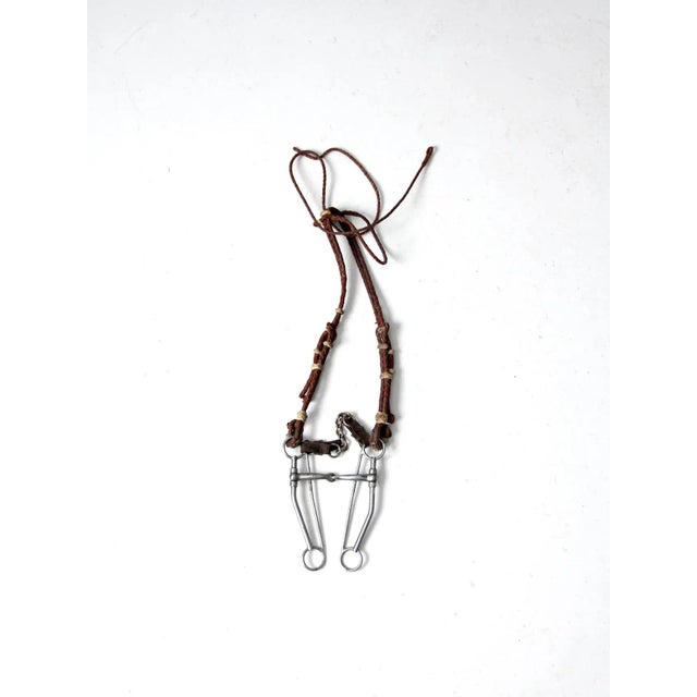 Vintage Horse Bridle For Sale - Image 12 of 12