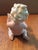 Early 20th Century German Bisque Boy With Dog For Sale - Image 5 of 6