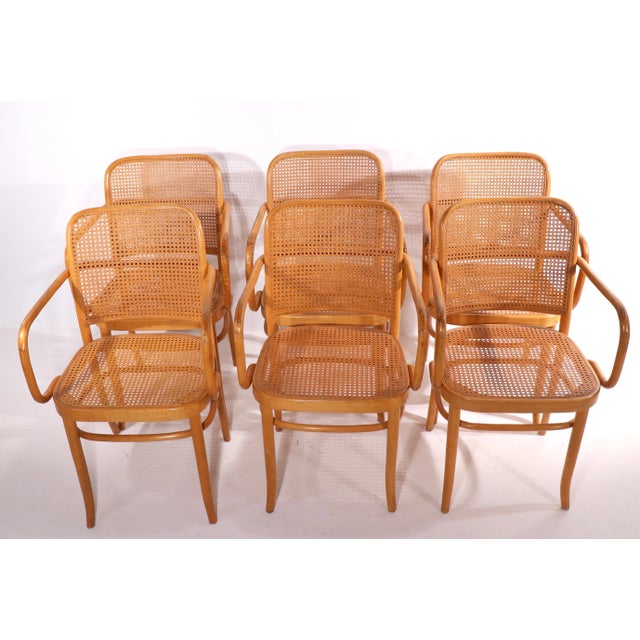 Stendig Bentwood Chairs by Hoffman for Stendig - Set of 6 For Sale - Image 4 of 9