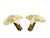 Organic Open-Work Leaf Wall Lamps from Banci Firenze, 1970s, Set of 2 For Sale - Image 13 of 14
