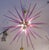 Pink Sputnik Spikes Pendant Lamp For Sale - Image 4 of 6
