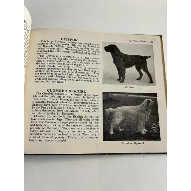 1934 the Book of Dogs For Sale In New York - Image 6 of 12