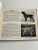 1934 the Book of Dogs For Sale In New York - Image 6 of 12