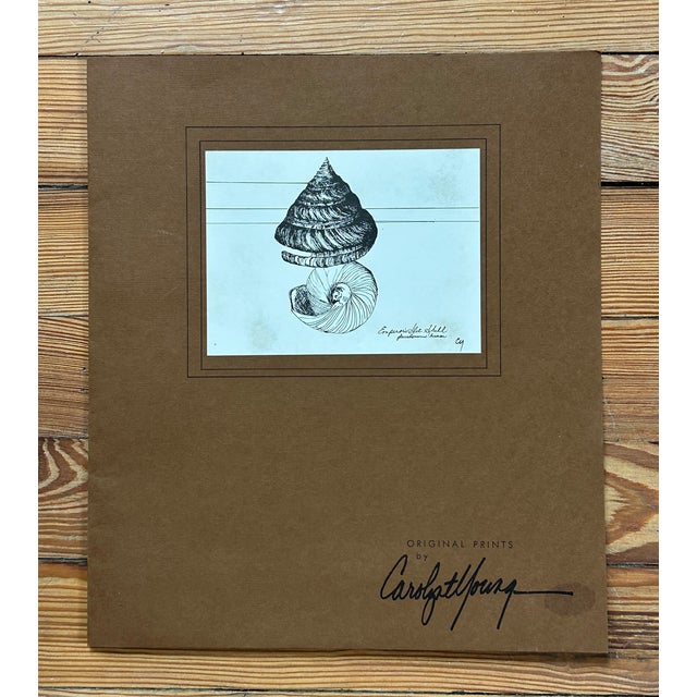 Vintage Carolyn T. Young Signed Seashell Prints, Set of 5 With Original Portfolio For Sale - Image 16 of 16