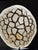 Septaria Nodule on Custom Stand For Sale - Image 11 of 15