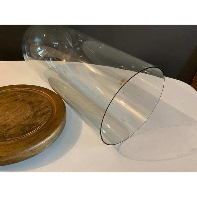 Antique Hand Blown Glass Cloche With Wooden Stand | Chairish
