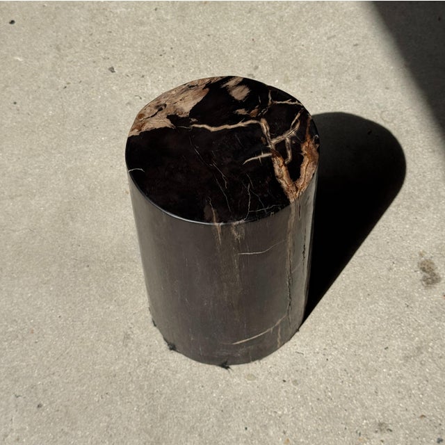 Side Table in Black Petrified Wood with Beige Stripes and Sides For Sale - Image 6 of 18