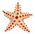 Ruby Diamond 18k Yellow Gold Starfish Brooch For Sale