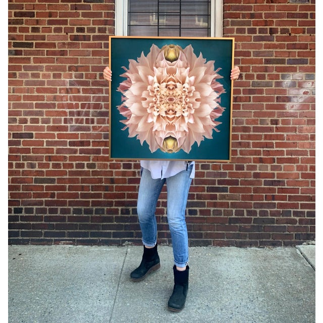 Modern "No. 131" Contemporary Botanical Limited Edition Photograph by Erin Derby, Framed For Sale - Image 3 of 6