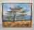 Samir Sammoun Large Framed 32" X 38" Oil on Canvas Original "Torrey Pine" Impressionist Painting 2014 For Sale - Image 11 of 12