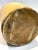 Wood Mid 19th Century Extremely Rare Has Original Cork 4-Gallon F. P. Goold Brantford Pottery Jug For Sale - Image 7 of 17