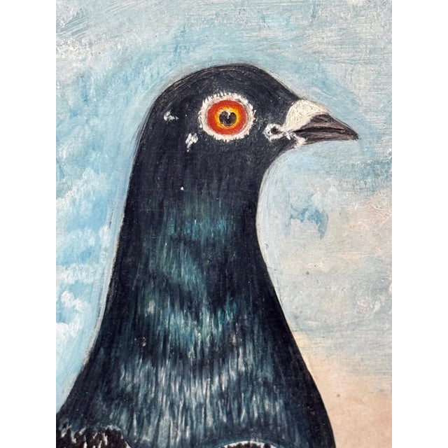 Circa 1930 British Folk Art Champion Racing Pigeons Oil Painting For Sale - Image 6 of 18