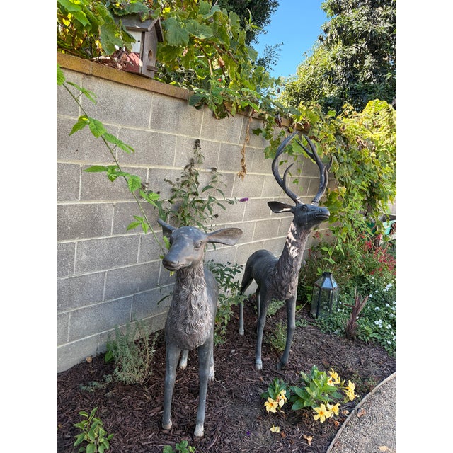Brown 1980s Bronze Stag and Doe Garden Sculptures, Pair For Sale - Image 8 of 10