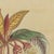 Bertuch, Flowering Shrub with Red Blossom, 1815, Print For Sale - Image 9 of 12