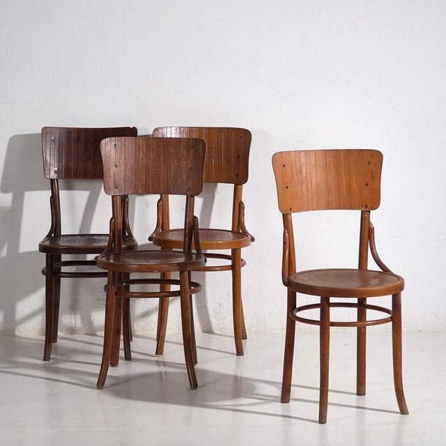 Bentwood Chairs attributed to Michael Thonet, 1940s, Set of 4 For Sale - Image 12 of 12