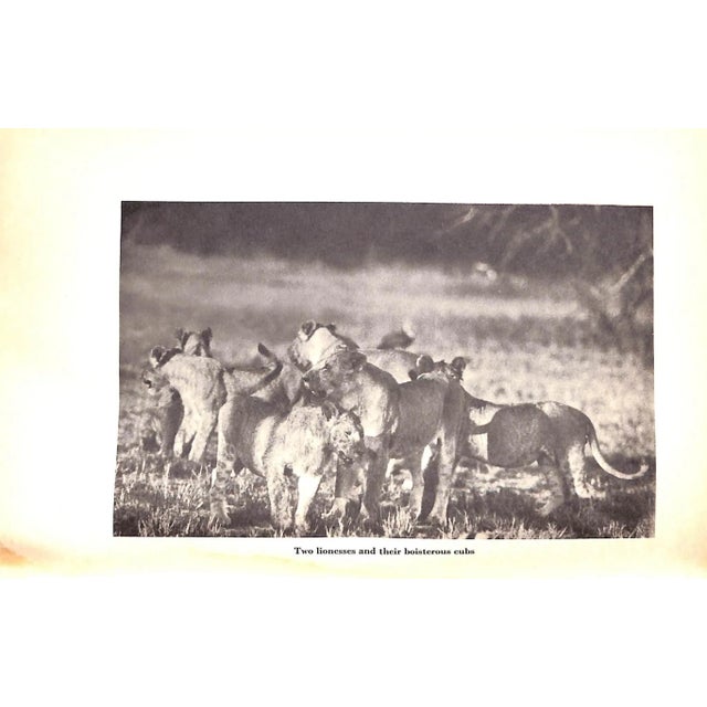 "I Married Adventure" 1940 Johnson, Osa For Sale - Image 10 of 13