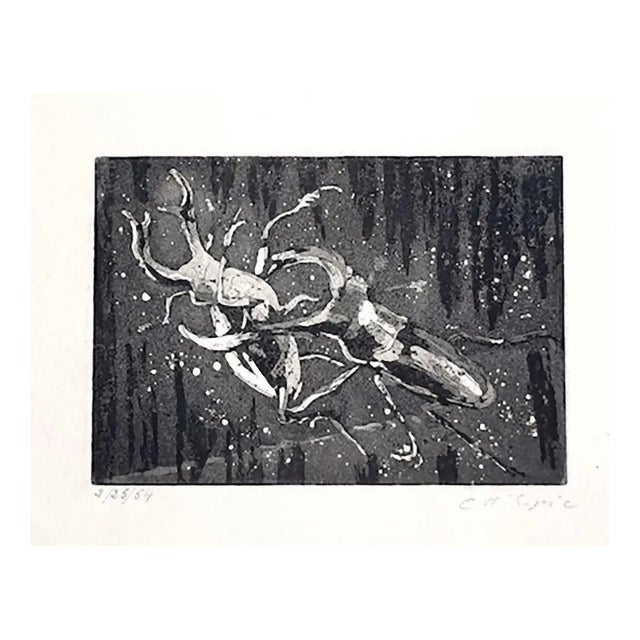 Christian D’Espic, Insects, 1954, Etching on Paper For Sale