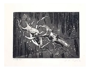 Christian D’Espic, Insects, 1954, Etching on Paper
