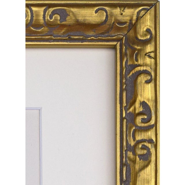 Mid 19th Century 19th Century Antique Hand Colored English Shell Print by John Jeffreys 1869 For Sale - Image 5 of 6