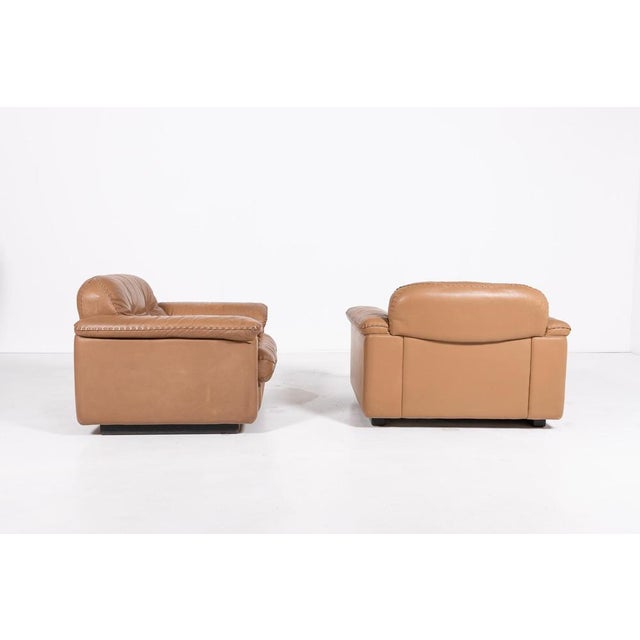 Ds 101 Brown Leather Lounge Chairs from de Sede, 1970s For Sale - Image 6 of 16