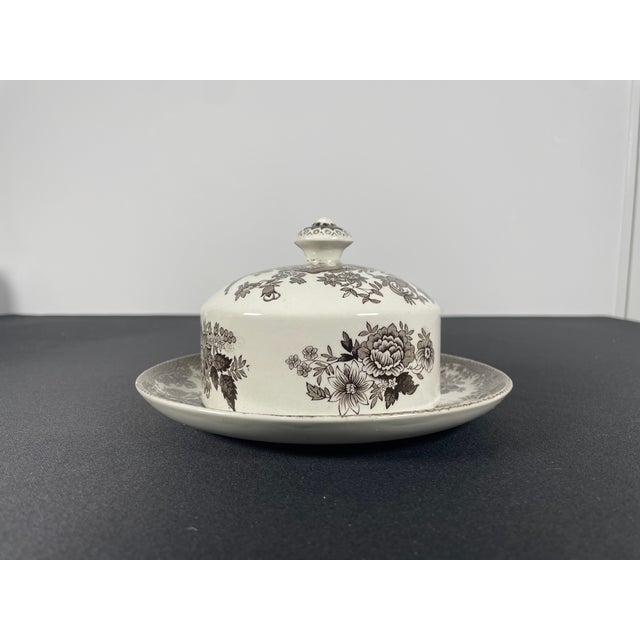 Pheasants Ceramic White and Brown Butter Dish from Wedgwood, 1960s For Sale - Image 11 of 14