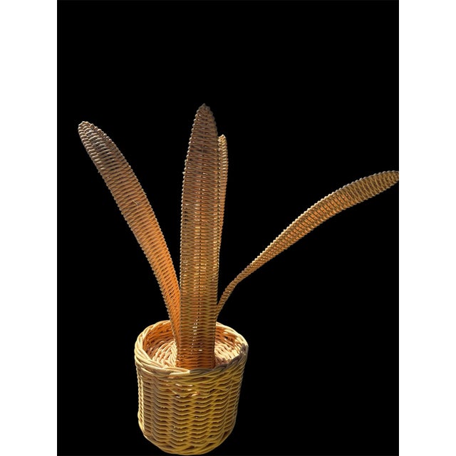 Contemporary Vintage Sculptural Woven Rattan Aloe Plant Basket | Organic Modern Decor For Sale - Image 3 of 9