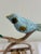 Metal Vintage Cast Iron Bird Easel Display Stand With Blue Bird For Sale - Image 7 of 11