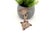 Silver Toothpick Holder with Cherub and Fan For Sale - Image 5 of 6