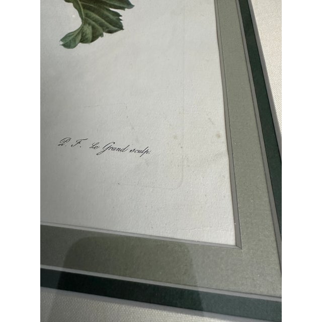 Antique Botanical of Poppy Flowers 19th C. Chromolithograph Poppy From Fleurs Dessinees d'Apres Nature by Gerard Van Spaendonck For Sale - Image 6 of 12