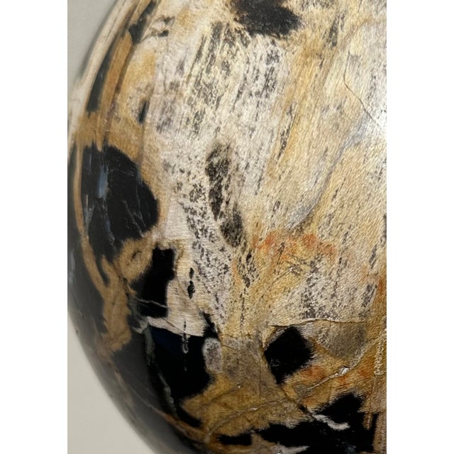 Two Polished Petrified Wood Organic Spheres. 6 inches diameter, 4 ½ inches diameter These large and impressive ancient,...