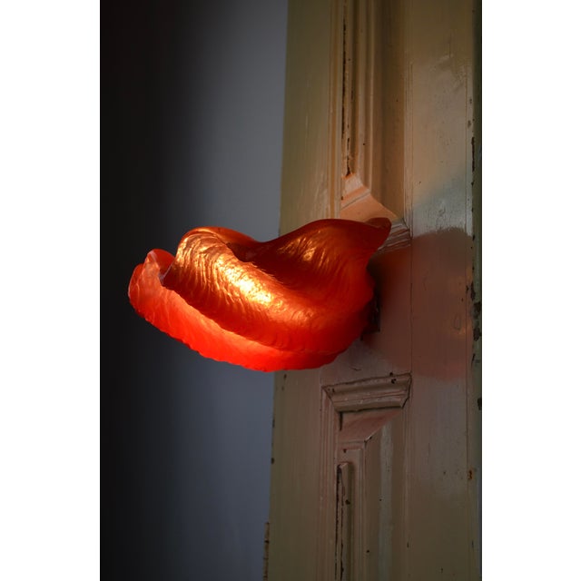 Striking sculptural wall sconce in the form of a seashell, crafted in translucent cast resin. This highly decorative piece...