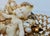 Gemstone Wendy Gell Putti Brooch Mid-80s For Sale - Image 7 of 8