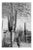 Erich Andres, Saguaro National Park, Photograph For Sale