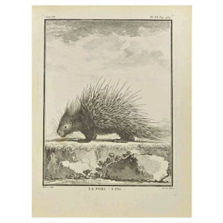 Jacques Baron, Le Porc, Etching, 1771 For Sale
