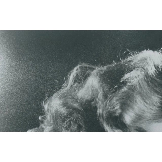 1950s Marilyn Monroe Studio Shoot, 1950s, Photograph For Sale - Image 5 of 6