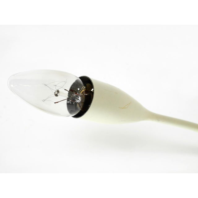 Large Mid-Century Modern Brass Sputnik Ceiling Lamp with 12 Arms, 1950s For Sale - Image 15 of 18