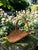 This beautiful vintage wicker gathering basket brings effortless rustic charm to any space. Handwoven with care and shaped...