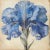 American Blue Iris No. 1 – Antique Botanical Fine Art Print For Sale - Image 3 of 3
