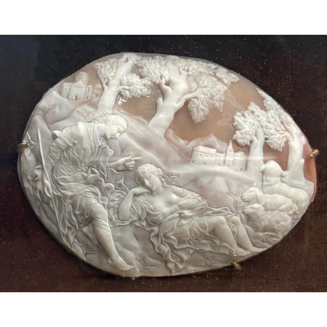Traditional 19th Century Cameo Shell For Sale - Image 3 of 8