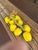 Made in Italy, a very realistic bunch of yellow bell peppers on a heavy rope for kitchen or restaurant display.