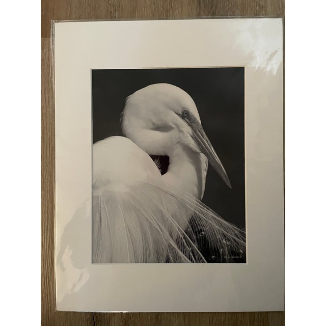 Contemporary Lot of 3 New Matted B&w Original Photographs Signed by Robin Rebeck For Sale - Image 4 of 16