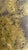 Mediterranean Mustard Colored Olive Jar, Terracotta, Rustic For Sale In Los Angeles - Image 6 of 10